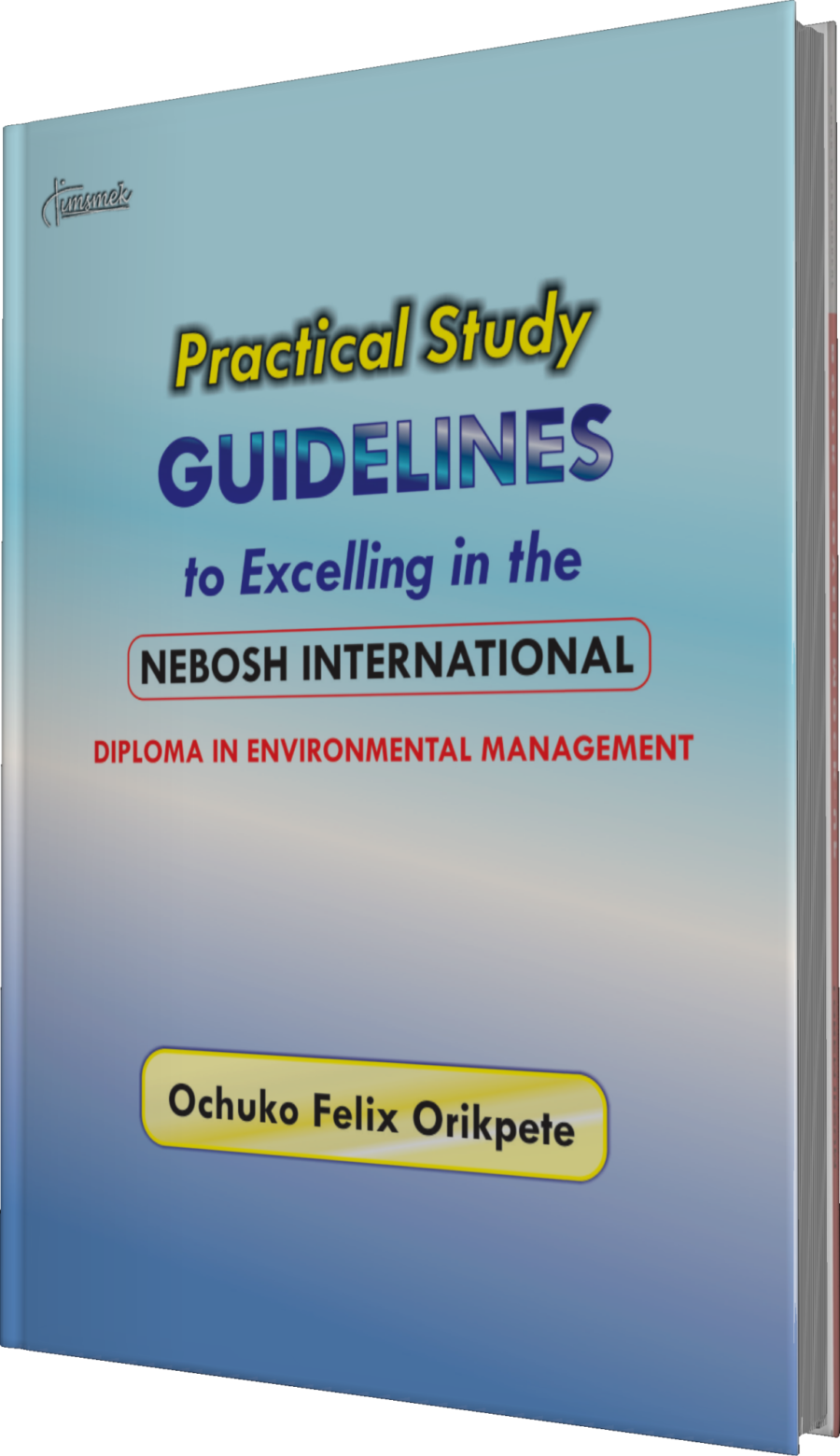 Practical Study Guidelines to Excelling in the Nebosh International Diploma in Environmental Management - Image 2